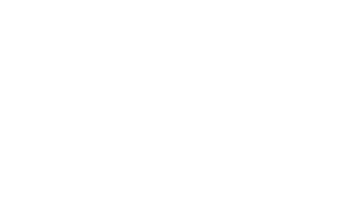 Pay. Partner Pay. Partner