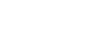 Shopify Partner Shopify Partner